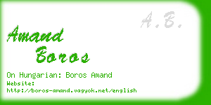 amand boros business card